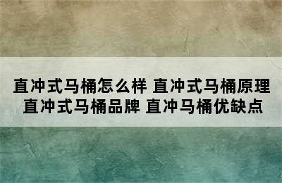 直冲式马桶怎么样 直冲式马桶原理 直冲式马桶品牌 直冲马桶优缺点